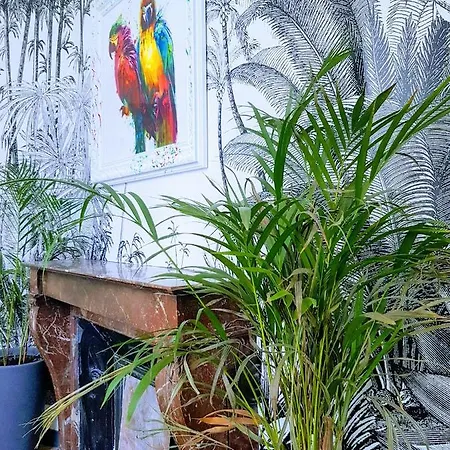 Loft Zen - Jacuzzi - Centre Historique