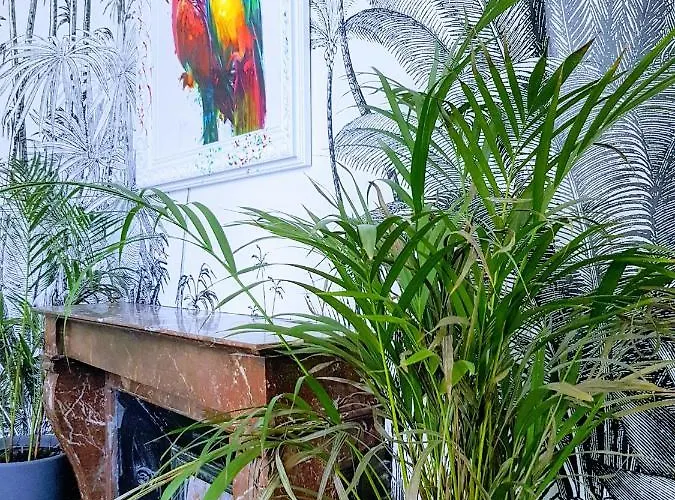 Loft Zen - Jacuzzi - Centre Historique